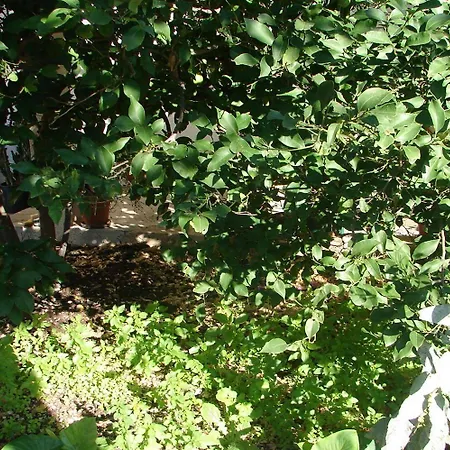 Sini Apartament Makarska