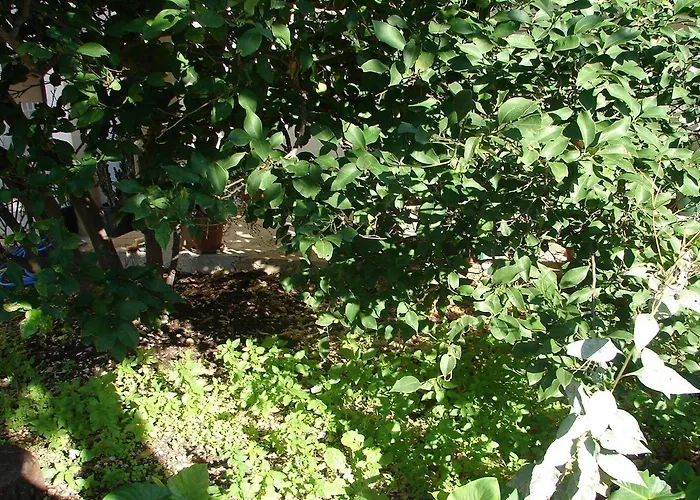 Sini Apartmán Makarská